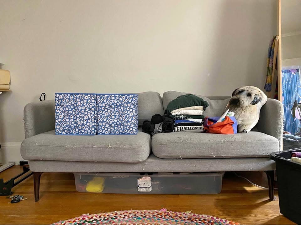 West Elm Couch