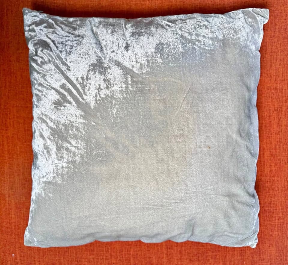 Velvet, Throw Pillow, West Elm