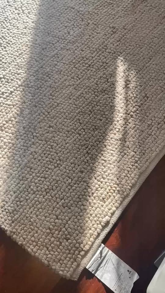 Wool Pebble Rug - West Elm - 8’ x 10’